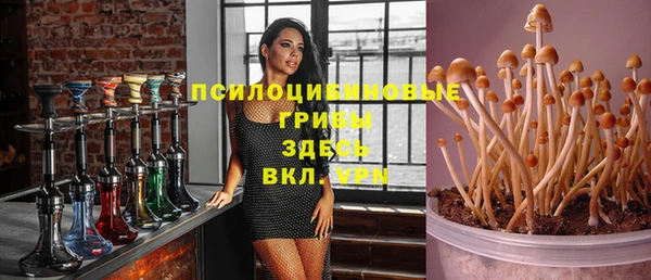 ПСИЛОЦИБИНОВЫЕ ГРИБЫ Алексеевка