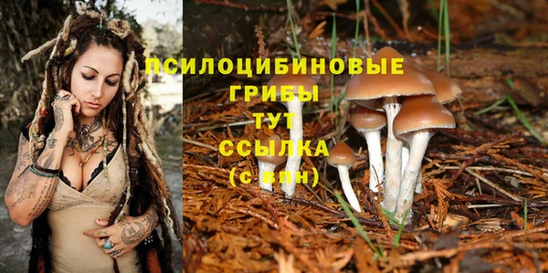 кокс Аркадак