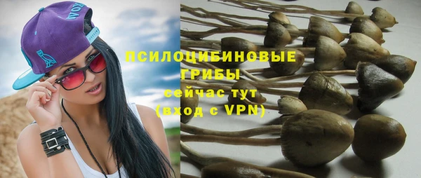а пвп мука Армянск
